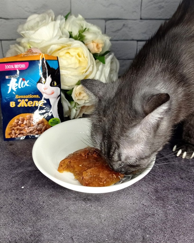 ��������� �� ���� ������ ������ �� ���� ���������� �� ������� ���� Felix: � �� �������� ��������� ... - 3