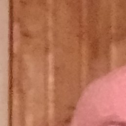 ���������, ����, 59 ���