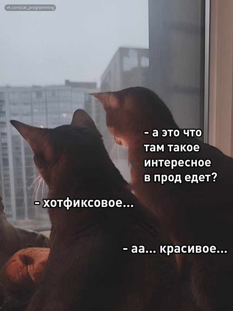 /zev/null - 5  2025  08:03