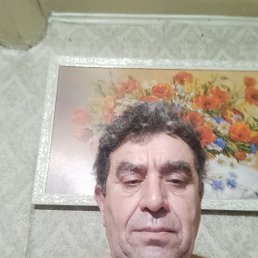 , 55 , 