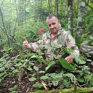 �������, 38 ���, ������