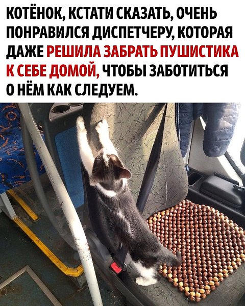    - 3