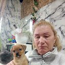 ���� ������, ������, 53 ���� - ��������� 9 ���� 2026 � ������ ���� ����������