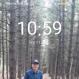 ���������, ���������, 43 ����