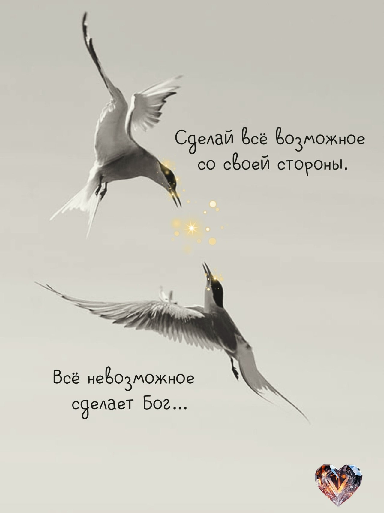 �������� - 24 �������� 2025 � 14:46