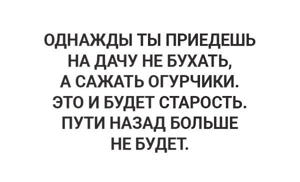 ☆ ☆ - 6  2024  14:25