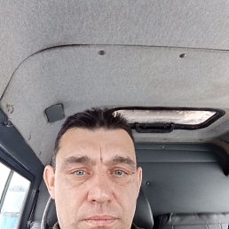 ���� ������, ������, 49 ��� - ��������� 17 ������ 2024