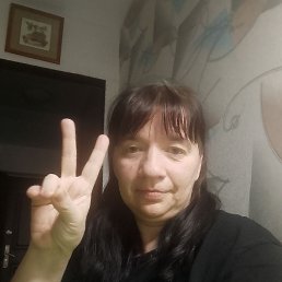 �������, 41 ���, �������