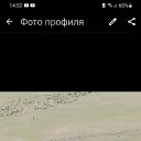 ���� �������, �������, 42 ���� - ��������� 21 ������ 2025 � ������ ���� ����������