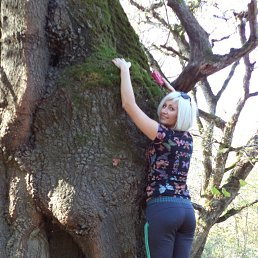 ���� �������, ���������, 28 ��� - ��������� 11 ������ 2026