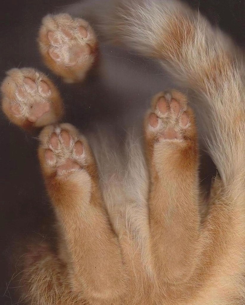      - 5