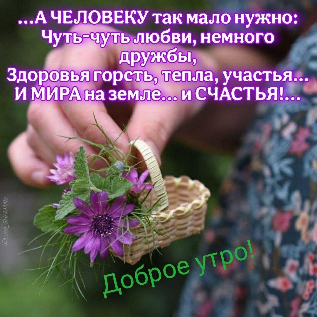 ***Victoria Viktorovna*** - 20  2025  03:23