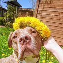 ���� ���, �����-���������, 60 ��� - ��������� 22 ����� 2026