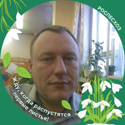 ����, ���������, 48 ���