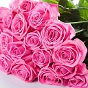 ���� �����, �����, 38 ��� - ��������� 26 ������ 2026 � ������ ���� ����������