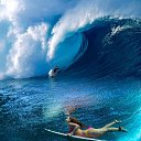 ���� ����, ������ - ��������� 2 �������� 2025 � ������ ���� ����������