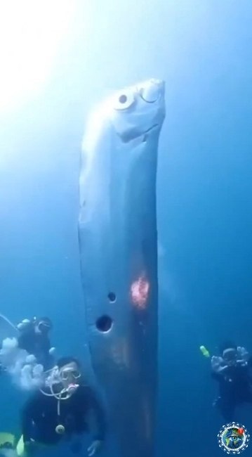 o o a pa aa? - 2