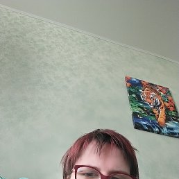 , 27 , -