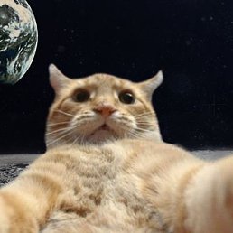 ������, ������, 38 ���