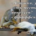 ���� �����, ���������� - ��������� 25 ����� 2025 � ������ ���� ����������