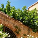 ���� Mari, ������ - ��������� 25 �������� 2025 � ������ ���� ����������