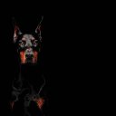 ���� Aleksey, ������, 45 ��� - ��������� 31 ����� 2024 � ������ ���� ����������