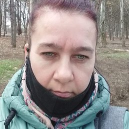 ����, ������, 40 ���