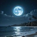 ���� Mohammed, ���� - ��������� 20 ������� 2025 � ������ ������ ��������