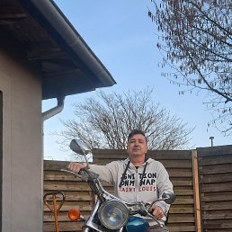 , 52, 