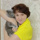 ���� ��������, �����-���������, 58 ��� - ��������� 12 ������ 2026