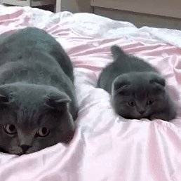 Tatyana, ������-��-����, 48 ���