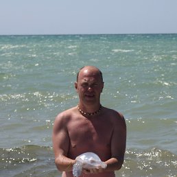 , 50, 