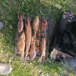 ���� ����, �������, 40 ��� - ��������� 25 ���� 2026