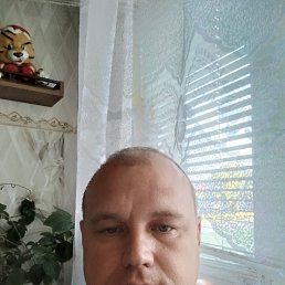 ���� ��������, �����, 44 ���� - ��������� 28 ������� 2026
