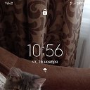 ���� �����, ������, 52 ���� - ��������� 24 ������ 2023 � ������ ���� ����������