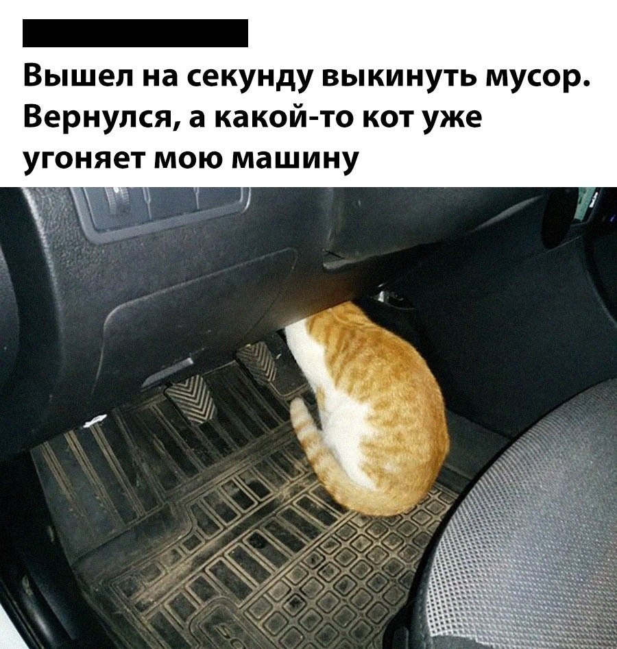    - 16  2024  00:32