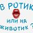 ���� ���������, ������, 41 ��� - ��������� 17 ���� 2026