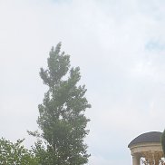 ���������, 58 ���, ������