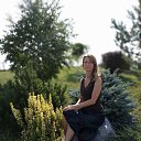 ���� �����, �����, 52 ���� - ��������� 16 ���� 2024 � ������ ���� ����������
