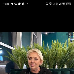 , 54, 