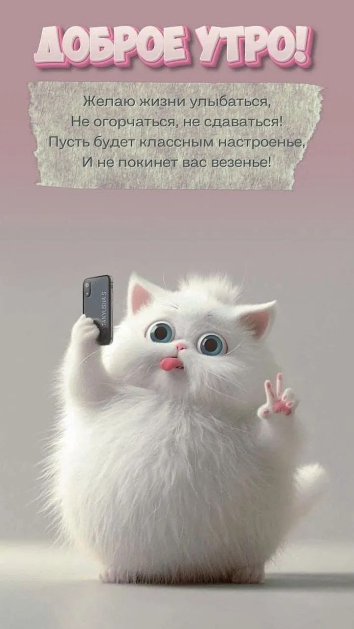 ***Victoria Viktorovna*** - 11  2024  04:41
