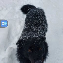 �����, �����-���������, 35 ���