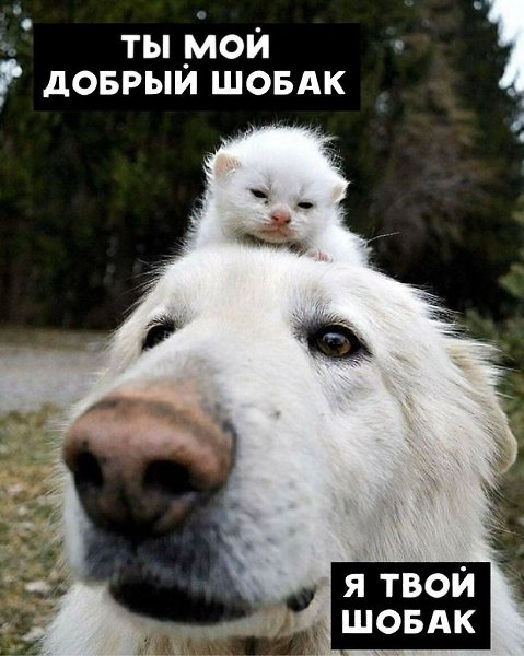    - 5