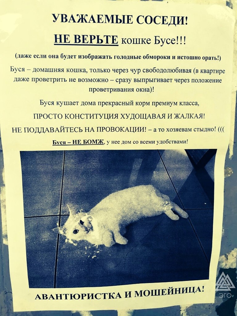 -,   ,  !