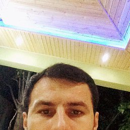, 33, 
