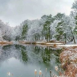 ���� ���������, �������, 49 ��� - ��������� 28 ������ 2023