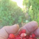 ���� ����, �����-��������� - ��������� 18 ������ 2025 � ������ ���� ����������