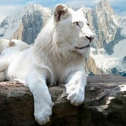 ���� ����, ��������-�������������, 34 ���� - ��������� 23 ������� 2026