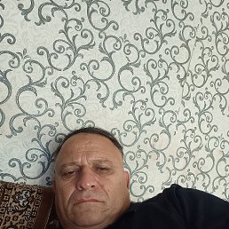 , 54, 