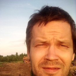 ����, 46 ���, �����